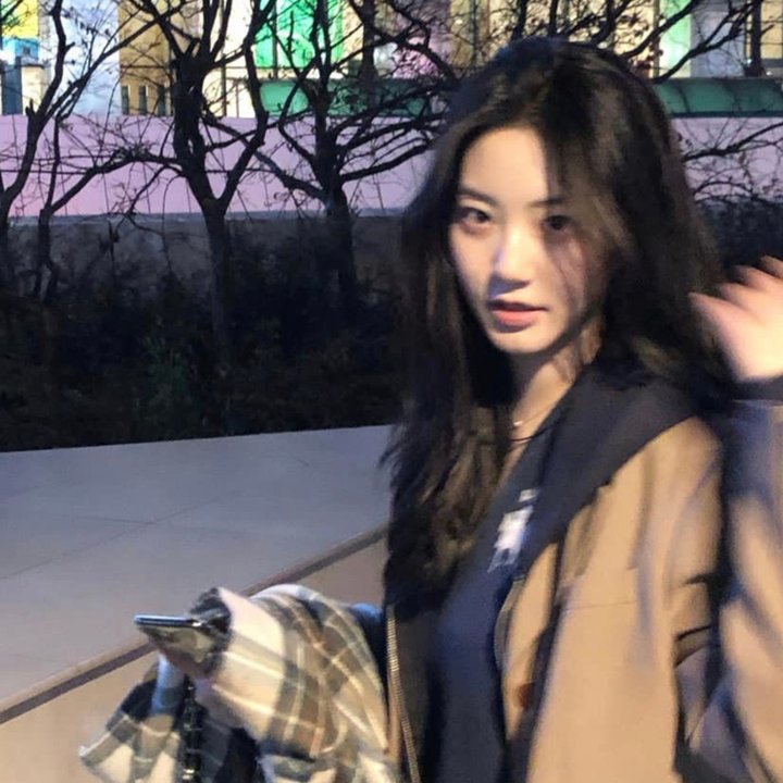 泰山与珍妮 在线观看封面